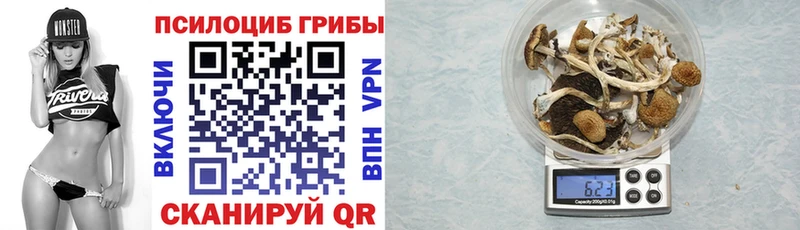 хочу наркоту  Отрадная  Псилоцибиновые грибы Magic Shrooms 